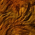 Texture FAA 001
